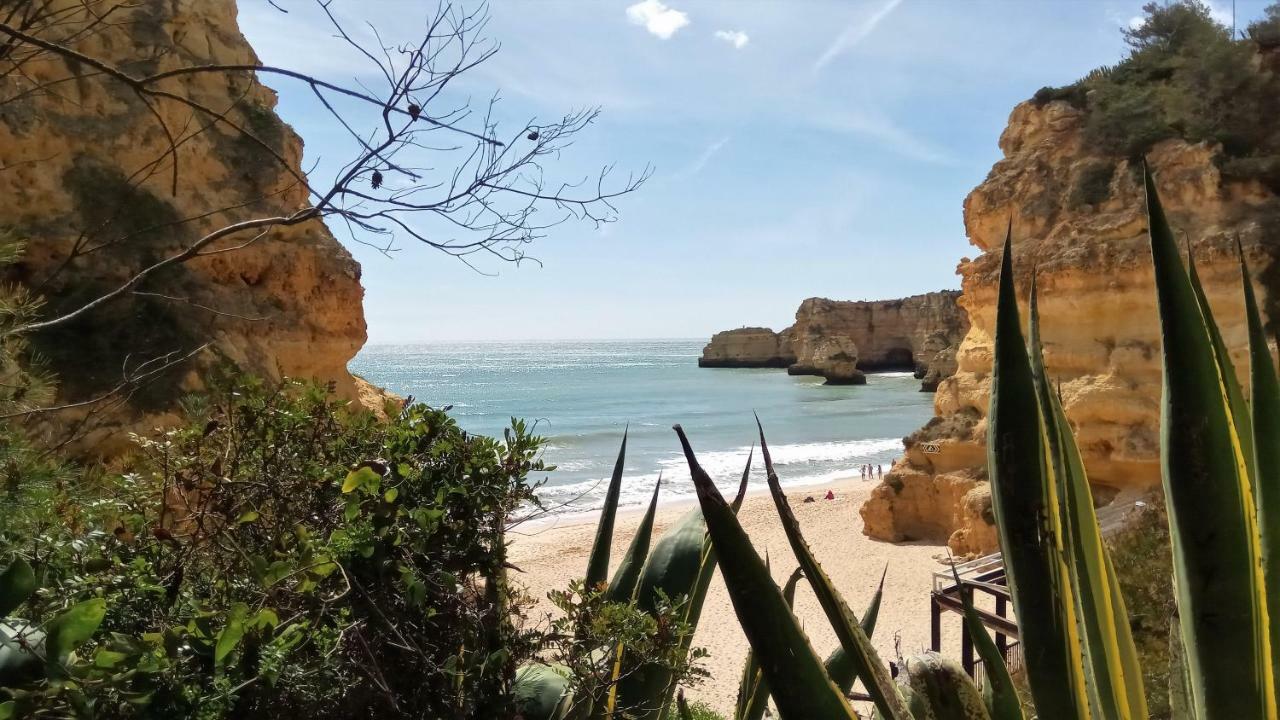 Apartamento O Jardins Da Marina Albufeira Exterior foto